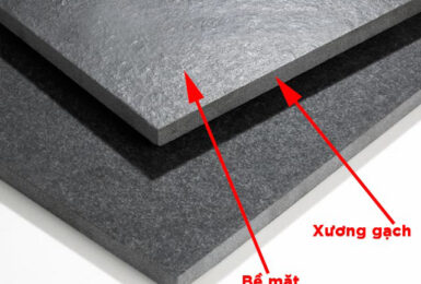 Phân biệt xương gạch ốp lát